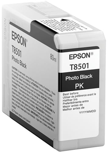 Epson T850100 Tintenpatronen Singlepack Photo, schwarz