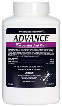 BASF Advance Carpenter Ant Bait Granules, Ready to Use Indoor or Outdoor, Attracts, Kills and Controls Ants, 8 oz