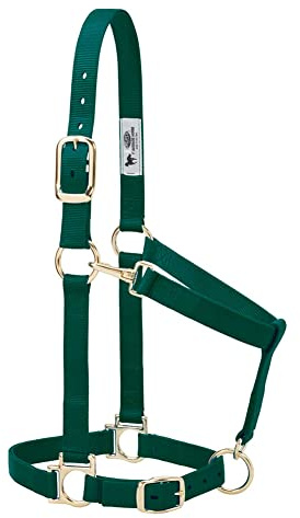 Väv läder bas justerbar nylon halter, jägargrön, 2,54 cm genomsnittlig häst