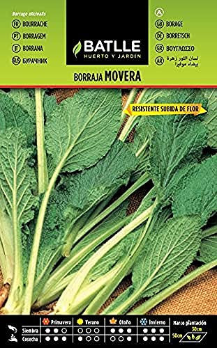 Semillas Batlle Borraja Flor Blanca MOVERA