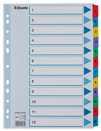 Esselte Register für A4, Deckblatt und 12 Trennblätter, Taben mit Zahlenaufdruck 1-12, Lochrand und Taben folienverstärkt (Mylar), Blau, Karton, 100162