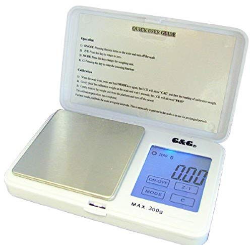 G&G TS 100g/0.01g Feinwaage Taschenwaage Digitalwaage Münzwaage Goldwaage Scale (Weiß, 100g x 0.01g)