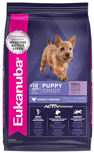 Eukanuba Welpen, kleine Rassen, 15-Pound, 15 Pfund
