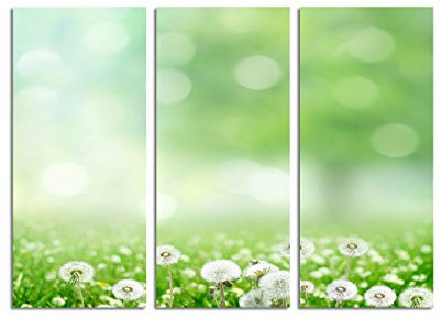 Paul Sinus Art 130x90cm – Keilrahmenbild Pusteblumen grüne Wiese 3teiliges Wandbild auf Leinwand und Keilrahmen - Fotobild Kunstdruck Artprint