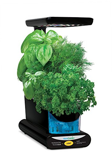 Miracle-Gro AeroGarden Sprout LED avec kit de capsules de graines d’herbes gourmets (noir)