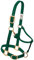 Weaver Leather Original Verstellbares Reithalfter aus Nylon, großes Pferd, Grün (Hunter Green)