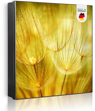 banjado Großer Schlüsselkasten Metall - Schlüsselbox 30x30cm beschreibbarer mit 32 Haken - Schlüsselkasten modern für Schlüsselaufbewahrung - Korpus Schwarz Scharnier Rechts - Motiv Pusteblumen Gold
