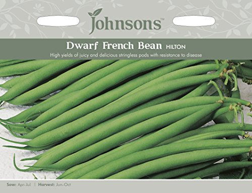 Johnsons 14767 Vegetable Seeds, Dwarf French Bean Hilton