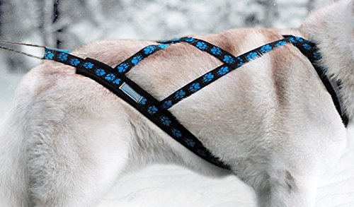 Northern Howl X-Back Zuggeschirr Fuer Bike-, Skijoring, Dogscooting, Schlitten, Blaue Pfoten (XL)