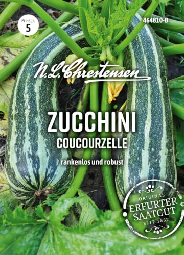 Zucchini Courcourzelle grün gestreift