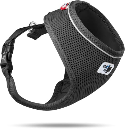 Basic Harness Air-Mesh Black XL