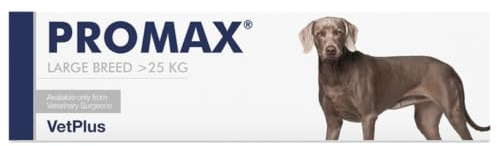 Promax Nutritional Supplement for Large Dogs 30ml Syringe (Packaging May Vary)