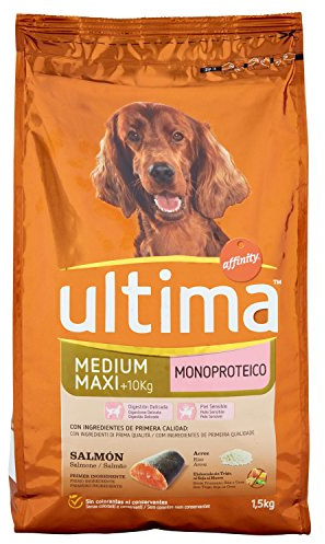 Ultima Cibo per Cani Medium Maxi Monoproteico Salmone Riso, 1.5kg