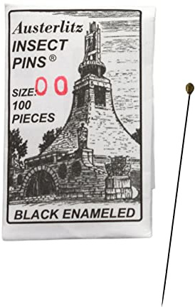 Premium Insect Entomology Dissection Pins, Size 00, Museum Grade, Pack of 100