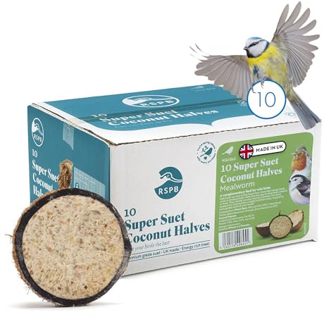 RSPB - Coconut Halves, Bird Food for Outside Birds, Wild Food with Suet, Dried Mealworms, Seeds, and Cereals, High Energy, Filled in the UK, Suitable for Year-Round Feeding (10 x 320g)