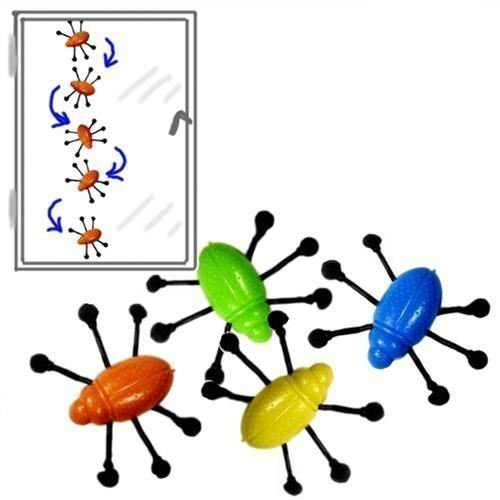 12 Window Walker Bugs