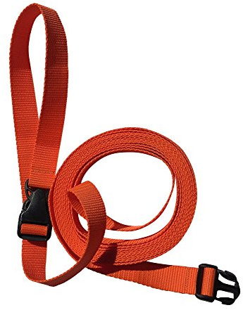 DOGS and MORE - VERLÃNGERBARE Schleppleine mit LÖSBARER Handschlaufe - VERLÃNGERUNG 5 Meter (Orange; 25 mm breit) / Suchleine/Feldleine