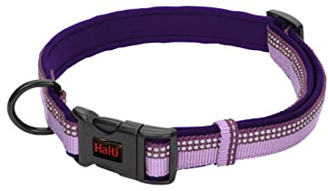 Collare Comfort HALTI - Cinghia regolabile con imbottitura in neoprene e tessuto 3M catarifrangente. Nylon di qualità. Leggero e ideale per cani di taglia media (Taglia M, Viola)