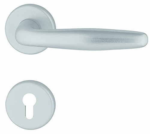 ALPERTEC Aluminium Arena – Stainless Steel Rosette Fitting for Front Doors in Anodised Silver, 40400810 K1 PZ Door Handle Set Door Fittings Door Handle