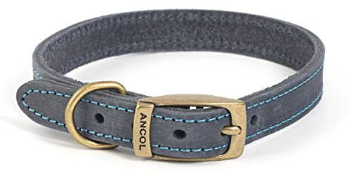 Ancol Timberwolf hundhalsband i premiumläder – bekvämt hållbart husdjursträningstillbehör – blått tränselläder – mjukt smidigt vattentätt behandlat – 26–31 cm storlek 2