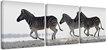 pyradecor Zebra Kunstdruck auf Leinwand Art Wand schwarz und weiß Tiere Bilder Gemälde für Wohnzimmer Schlafzimmer Badezimmer Home Dekorationen 3 Stück Modern gespannt und gerahmt Giclée-Pferd Artwork
