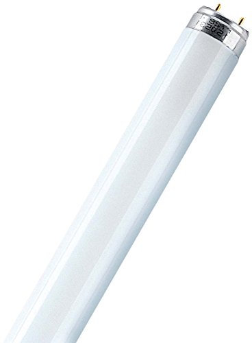 Osram Lampada fluorescente LUMILUX T8, 58 Watt, luce bianca diurna, flourescent tube