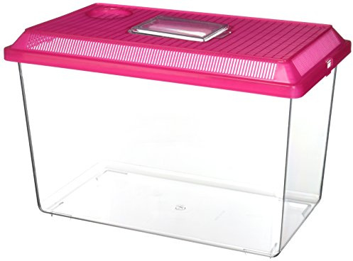 Lee's Kritter Keeper, Large Rectangle with Lid, Colors may Vary