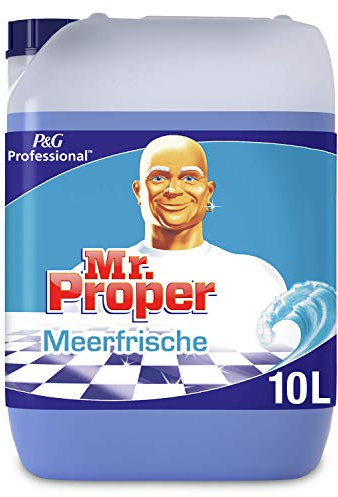 Meister Proper Professional Meeresfrische Allzweckreiniger, 10 Liter