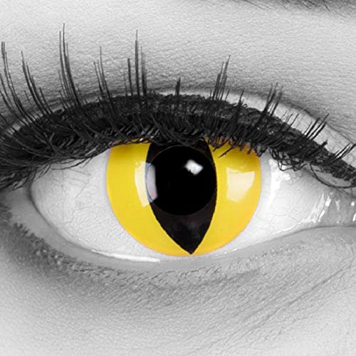 Meralens A0285 Cat Eye Kontaktlinsen mit Behälter mit Stärke, 1er Pack (1 x 2 Stück)