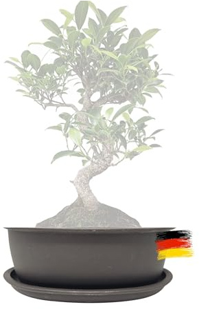 Genki-Bonsai Pflanzschale 16 x 12,5 x 6 cm aus Kunststoff – ovaler Pflanzkübel mit Untersetzer, frostbeständig, mit Drainagelöchern – für Bonsai, Kräuter, Zimmer- & Balkonpflanzen