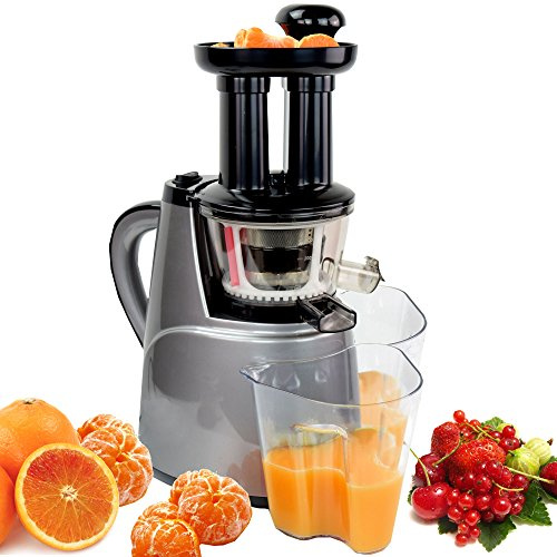 Syntrox Germany SJ-150W-AC Centrifugeuse lente avec 2 compartiments, sorbetière à fruits et fonction salade Presse-agrumes avec seulement 45 tr/min Slow Juicer