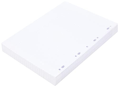 Clairefontaine 11791C Un Étui de Feuillets Mobiles Perforés - A4 21x29,7 cm - 500 Pages Grands Carreaux - Papier Blanc 90 g - Étui Réutilisable