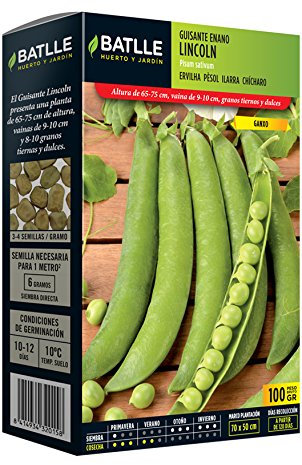 Guisante LINCOLN Ganxo