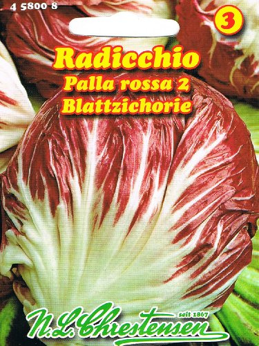 Radicchio Palla Rossa (Portion)