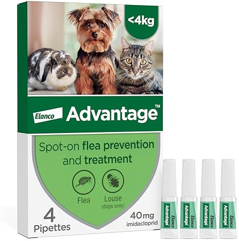 Advantage Spot On Flea Treatment For Cats, Dogs and Rabbits Under 4kg (4 pipettes, 40mg), Kills Fleas Within 24 Hours, Prevents Further Infestation For Up To Four Weeks in Cats and Dogs