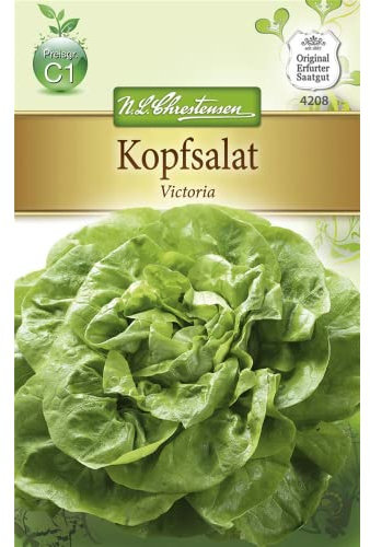 Chrestensen Kopfsalat 'Viktoria'