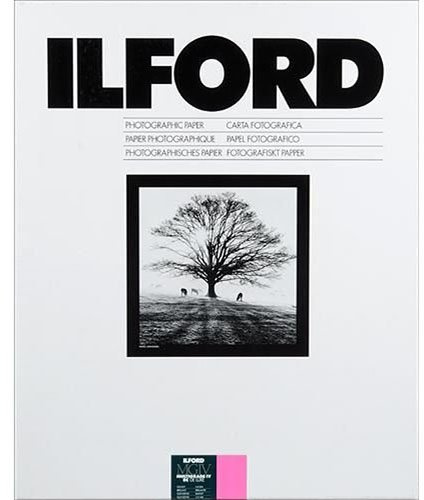 Ilford Multigrade IV RC Deluxe glänzend 16 x 20 10 Blatt