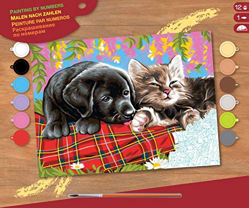 Mammut Spiel & Geschenk 8241107 - Malen nach Zahlen Senior, Hund und Katze, Komplettset mit bedruckter Malvorlage im A3 Format, 12 Acrylfarben, Pinsel und Anleitung, großes Malset ab 10 Jahre, 8241107