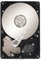 Hard Disk Drive 250GB SATA II - 1 Year Warranty