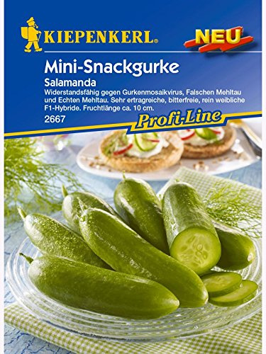 Kiepenkerl 2667 Salatgurke Salamanda Minisnackgurke