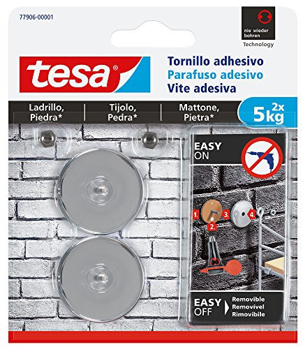 Tornillo adhesivo redondo tesa ladrillo y piedra 5 kg, 2 piezas