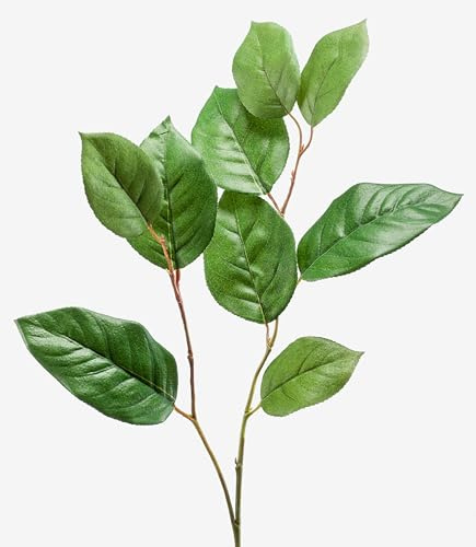 artplants.de Branche de Pommier Artificielle, Vert, 75cm | 9 Feuilles - Feuillage Artificiel - Branche décorative