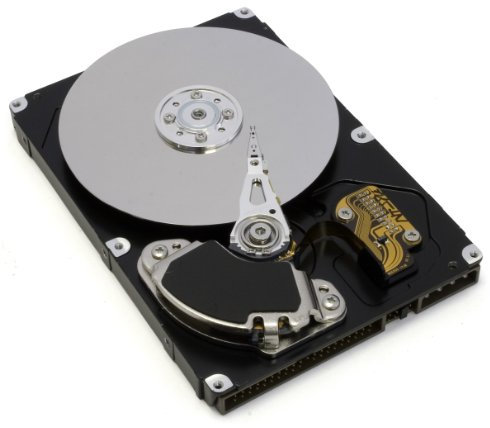 Western Digital Scorpio Black 250GB, 6,4 cm (2,5) Western Digital2500BEKT