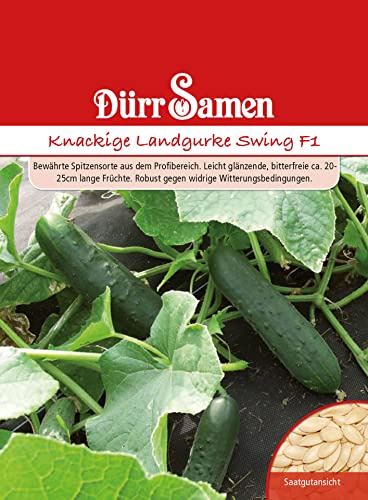 Dürr-Samen - Knackige Landgurke Swing F1 Saatgut