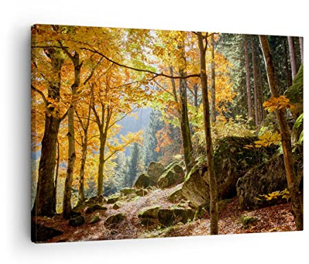 ARTTOR Tableau sur Toile Décoratif 70x50 cm Paysages Nature - 2713 | Automne Montagne Forêt Impression sur Toile Décoration Murale Art Mural Toile Imprimée Salon Chambre Cuisine ARTTOR