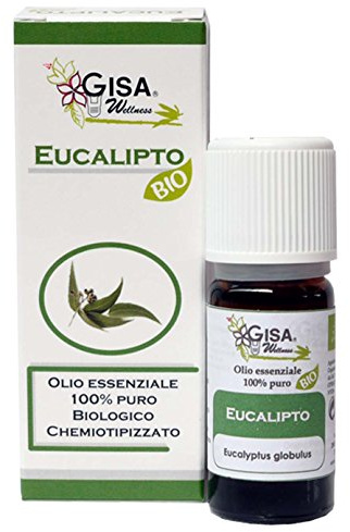 Gisa Wellness Aceite esencial de Eucalipto orgánico (Eucalyptus Globulus) 100% puro. Balsámico para la respiración y la congestión nasal, purificador del aire y descongestionante natural.