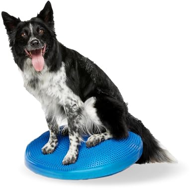 Ball Dynamics FPAWSBD 22 FitPAWS Balance Scheibe, 56 cm, blau