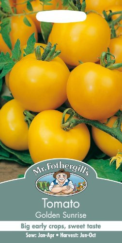 Mr Fothergills - Pictorial Packet - Vegetable - Tomato Golden Sunrise - 50 Seeds
