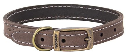 Ancol Timberwolf bekvämt hållbart läder sabel hundhalsband husdjursträning tillbehör 20–26 cm, storlek 1