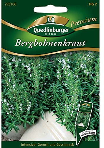 Quedlinburger Saatgut Bergbohnenkraut Samen